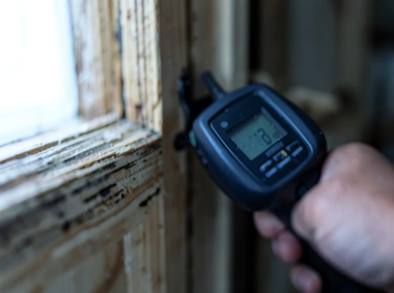 Moisture Inspection And Documentation in Waterport, NY